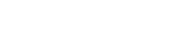 Digistep